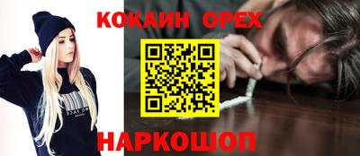 дурь Гай