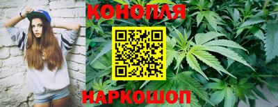 хмурый Гатчина