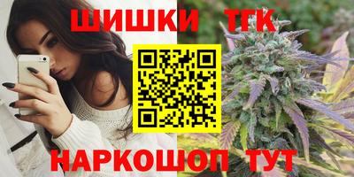хмурый Гатчина