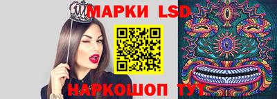хмурый Гатчина
