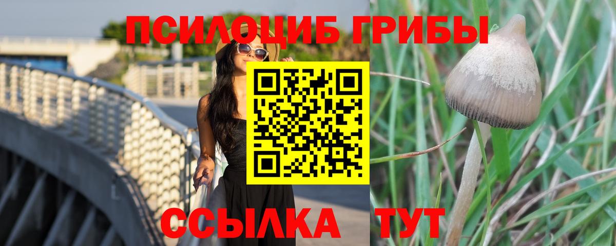 Галлюциногенные грибы Psilocybe  Вход с VPN  Трёхгорный 